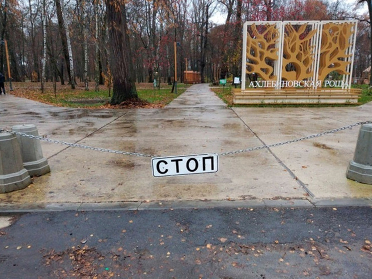 «Ахлябиновскую рощу закрыли на замок»: тамбовчан оставили без проезда через старейший парк