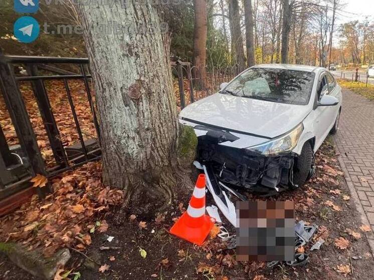 Калининградка протаранила дерево