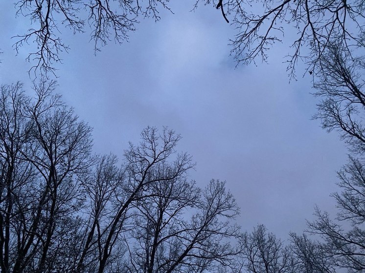 Белгородцев предупредили о мокром снеге и гололедице в воскресенье