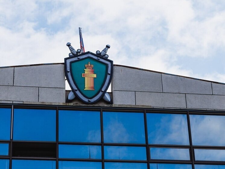 С дроппера из Красноярска взыскали 600 тысяч рублей за обман южноуральского пенсионера