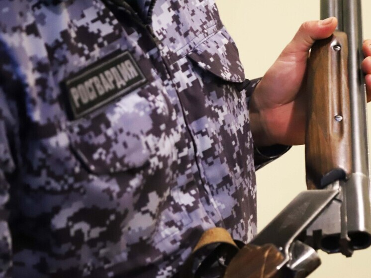 Жители Тульской области за неделю передали Росгвардии 17 единиц оружия
