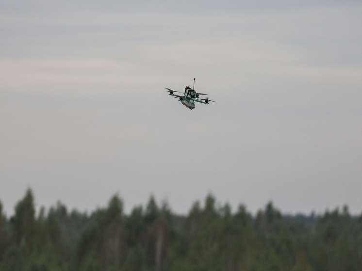 Гладков: в Белгородской области при атаках ВСУ пострадали два мирных жителя