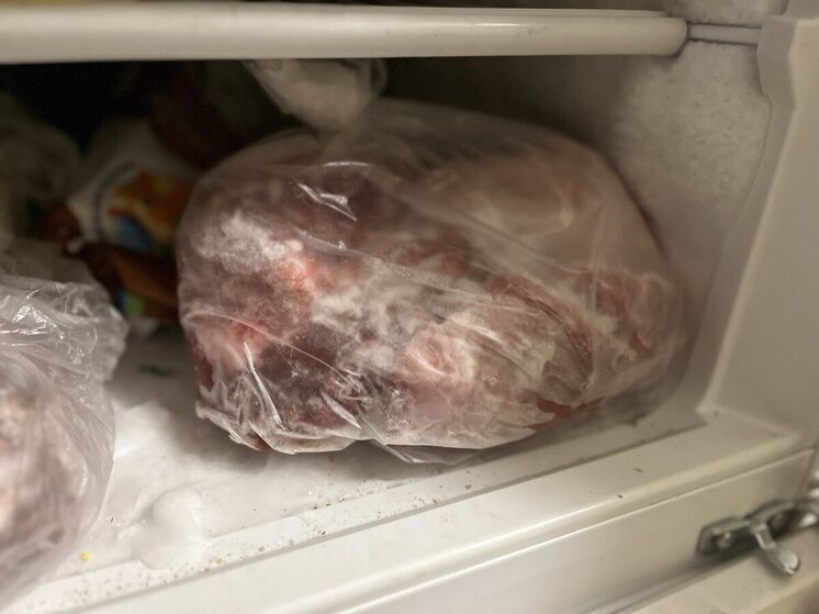 Врач Соломатина назвала болезни, которыми грозит тулякам грязный холодильник