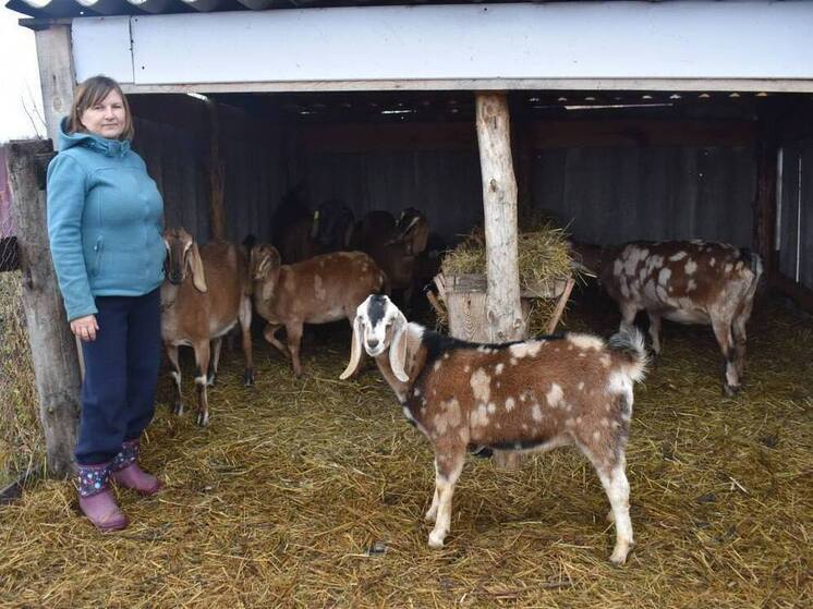 С начала 2025 года в Челябинской области заключили более 3,8 тысячи соцконтрактов