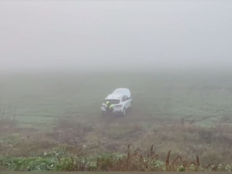 Два ребёнка пострадали в ДТП в Запорожской области