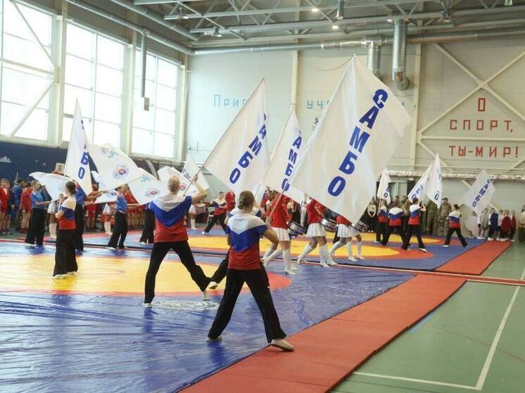 В Волхове открылся посвященный Всероссийскому дню самбо турнир