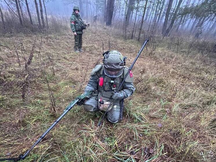 Бойцы «БАРСа-Курск» нашли и обезвредили 123 взрывоопасных устройства