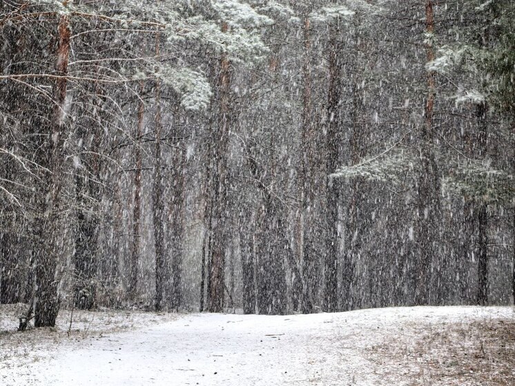 В Мурманской области 16 ноября ожидается снег, гололедица и порывистый ветер