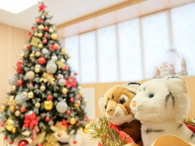 Волгоградцы в «черную пятницу» планируют купить подарки в среднем на 8300 рублей