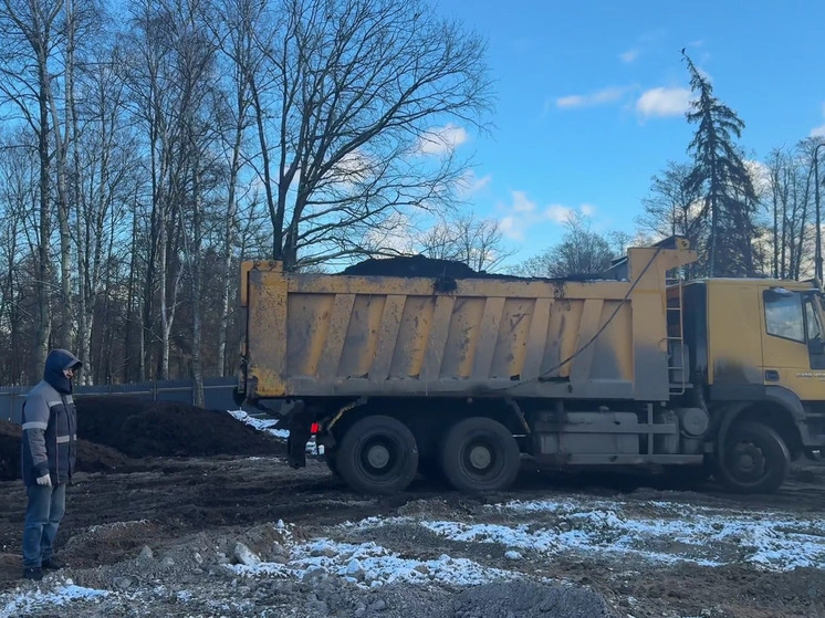 В Петербурге демонтировали сгоревший «Спорт Палас» на Крестовском острове
