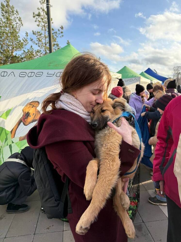 В Уфе еще 15 собак нашли своего человека