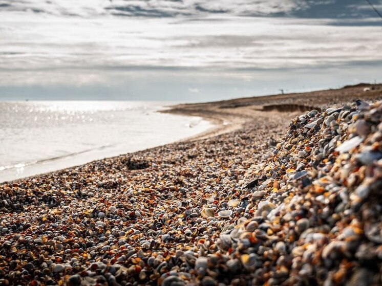 В Херсонской области 16 ноября ожидается сухая погода при +16 градусах