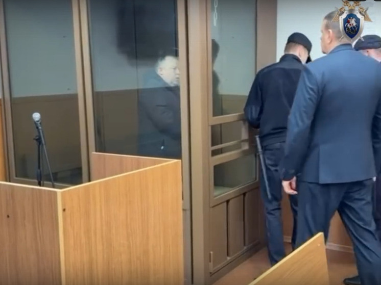 Экс-глава новгородского Минсельхоза проведет два месяца под стражей