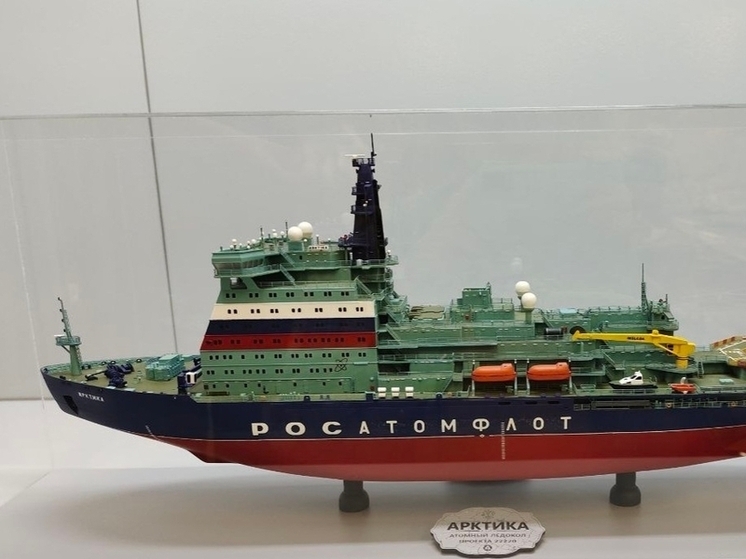 Апатитчанин завоевал специальный приз на соревнованиях по судомодельному спорту