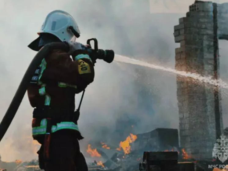 На Дону за сутки спасатели потушили 5 пожаров, один человек спасен