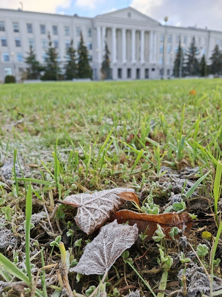 Ветер ждет псковичей 16 ноября