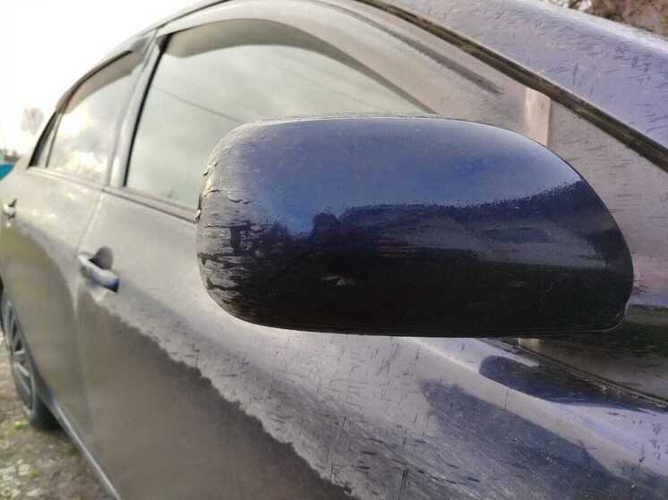 Абаканец принял ребенка за кошку и скрылся с места происшествия