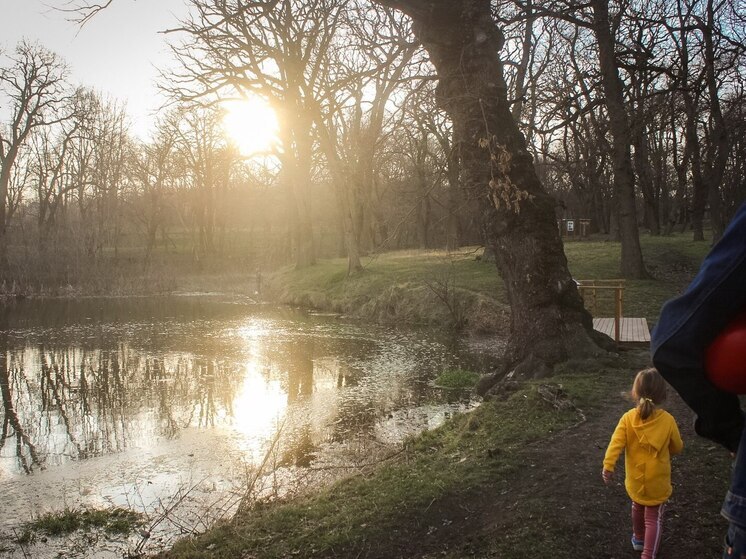 Психолог Мосунова рассказала, что застенчивость у ребенка может быть врожденной