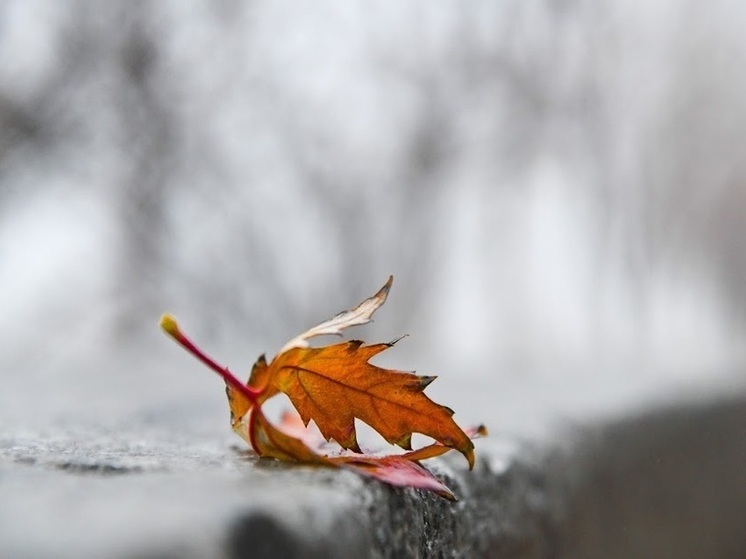 В Волгоградской области ожидаются дожди, туман и гололедица