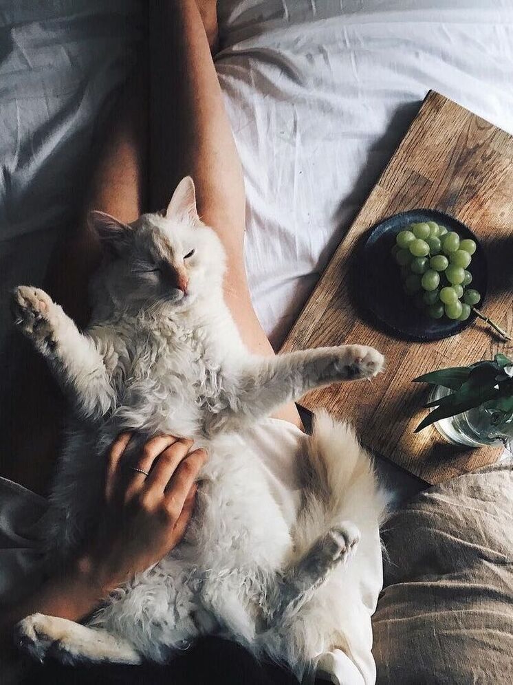 Как появились два выходных дня в неделю: история борьбы за свободное время