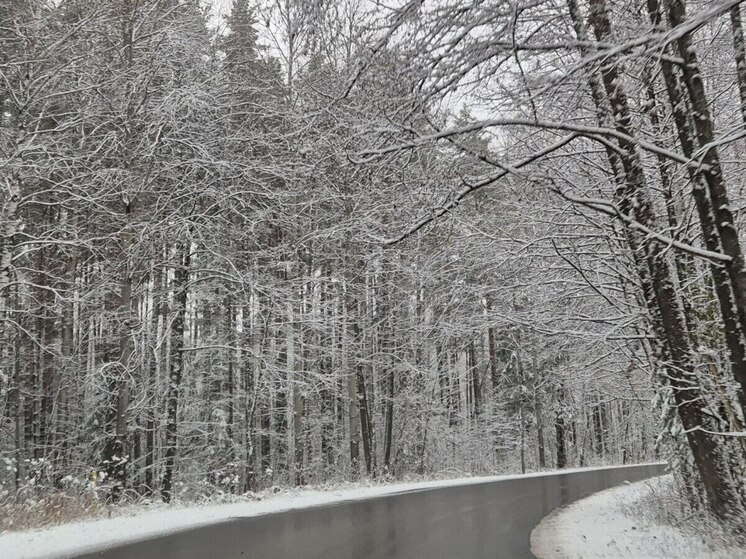 МЧС предупредило рязанцев о резком похолодании в ближайшие дни