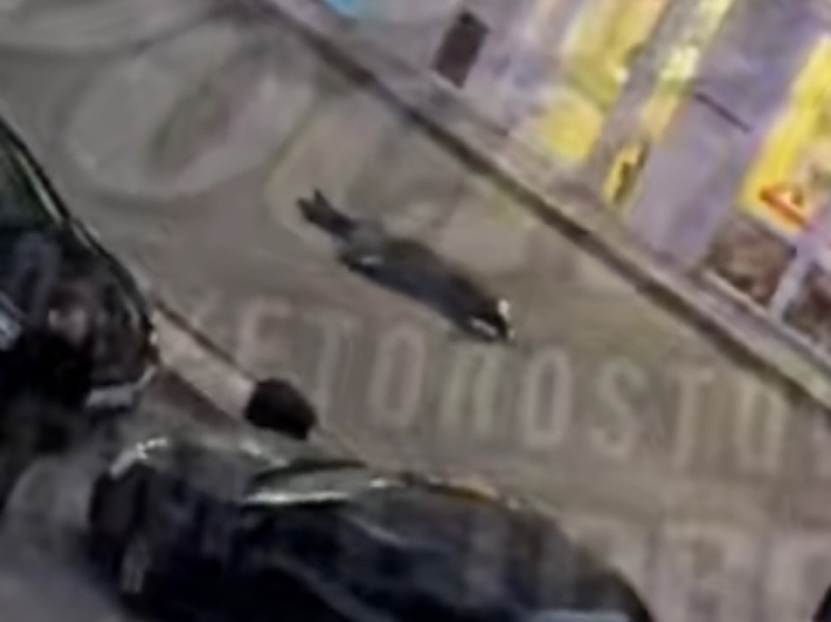 Женщина разбилась насмерть, выпав из окна многоэтажки в Ростове