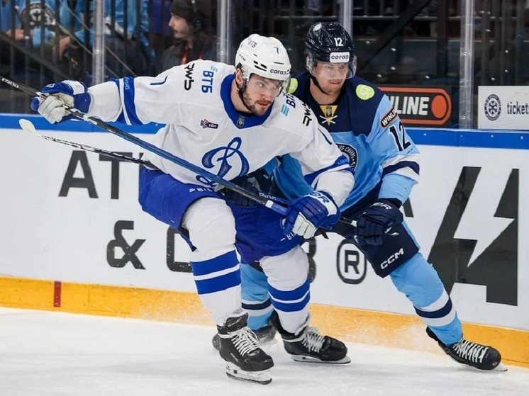 Московское «Динамо» одержало гостевую победу над «Сибирью» в Новосибирске со счётом 3:2, прервав серию из трёх поражений. Для «Сибири» это поражение стало уже 12-м подряд. За два дня до матча, 14 ноября, был отправлен в отставку главный тренер Вячеслав Буцаев, не выигравший ни разу за шесть недель работы. Исполняющим обязанности назначен Ярослав Люзенков — воспитанник «Сибири», ранее работавший в системе «Динамо». 