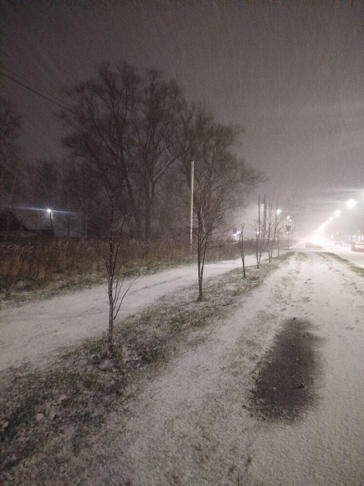 В Ярославской области выпал первый снег