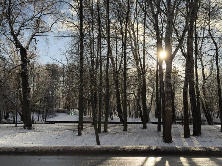 Ленинградцев 16 ноября ожидает мокрый снег, ветер и до +4 градусов