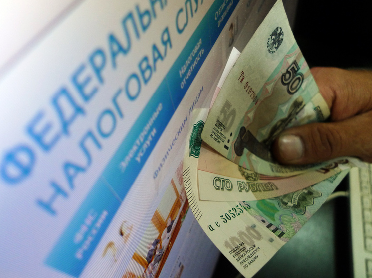 Неуплата налогов обойдется россиянам в 5.5 копейки за каждые 100 рублей долга в день