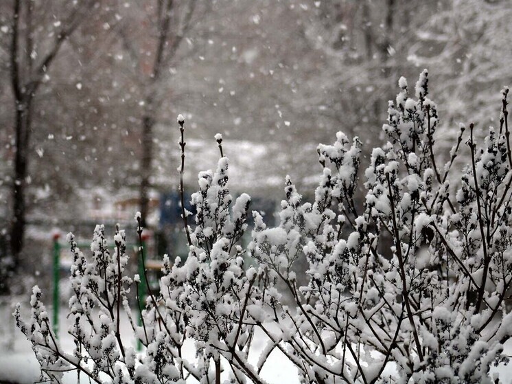 Осень удерживает позиции: в Омске сохранится мягкая погода