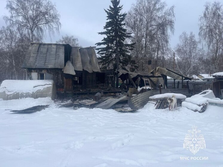 Томские огнеборцы спасли трёх человек из пожаров в минувшие сутки