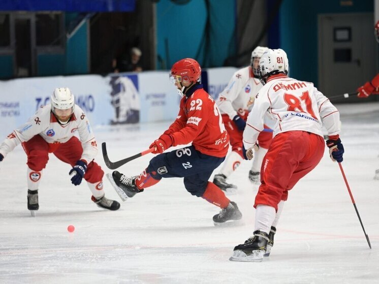 В Красноярске 15 ноября состоялся второй матч «Саян» в рамках российского чемпионата