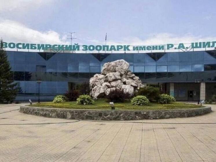Переезд животных в тёплые вольеры завершился в Новосибирском зоопарке