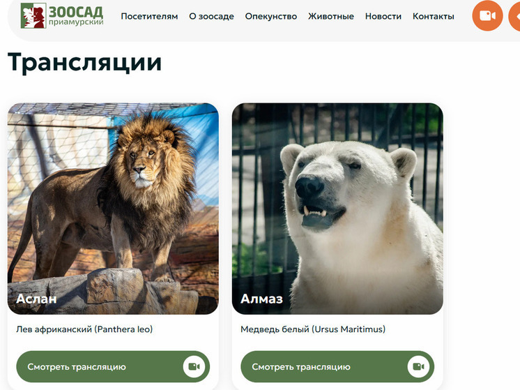 Впервые хабаровчане смогут увидеть в прямом эфире жизнь обитателей зоосада «Приамурский»