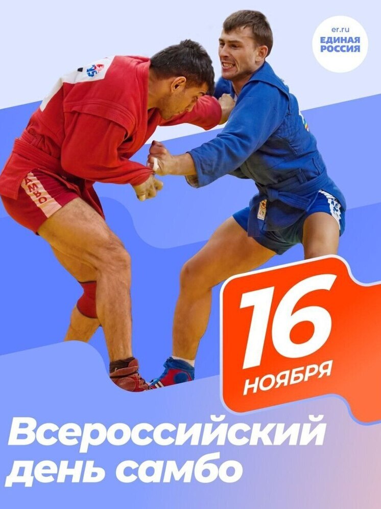 Глава города поздравил всех причастных с Всероссийским днем самбо