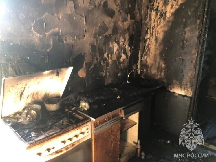 В Херсонской области подразделения МЧС реагировали на 2 пожара и одно ДТП