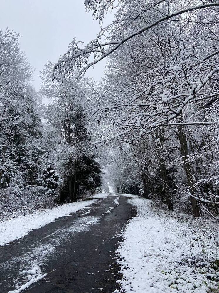 Минувшей ночью температура в столичном регионе опустилась до минус семи