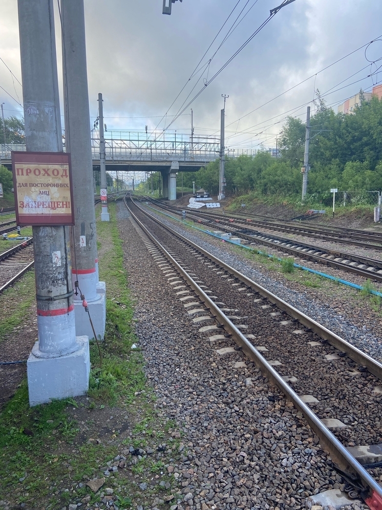 Задержаны подростки, устроившие погром в электричке Монино-Москва