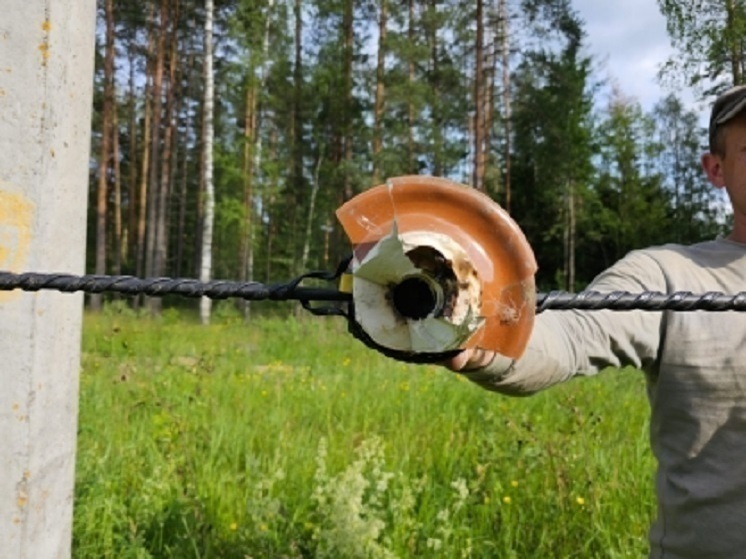 Бастрыкин взял на контроль дело о гибели школьника от удара током во Владимирской области