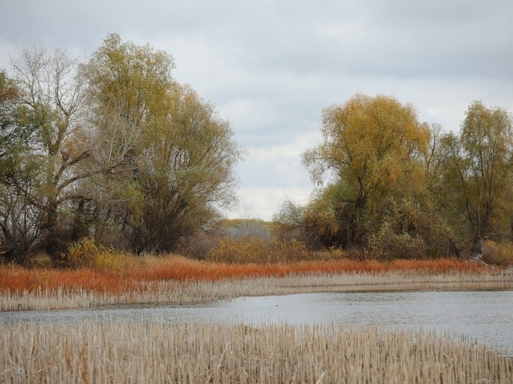 Астраханцам в воскресенье обещают туман и температуру до +13℃