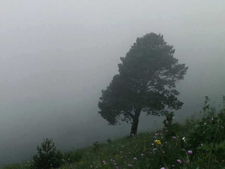 В воскресенье на Кубани возможны туман и переменная облачность