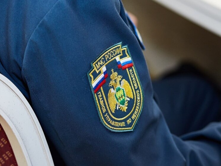 В Пензенской области за сутки произошло два пожара