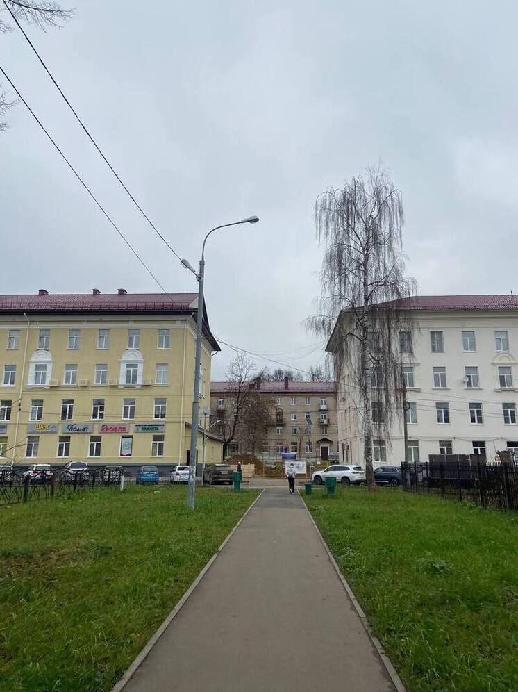 Сенатор предложил проверять при продаже жилья дееспособность продавцов с 60 лет