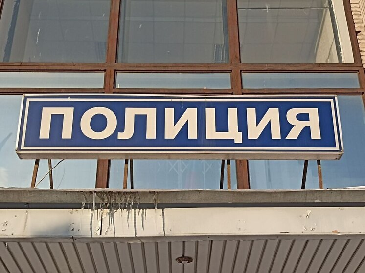 Под Всеволожском «гангстер» с игрушечным пистолетом попал в полицию