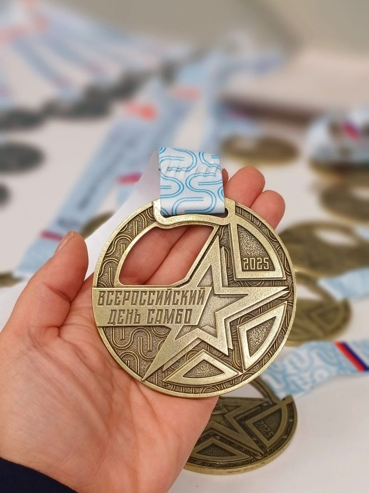 В Орле отметили Всероссийский день самбо