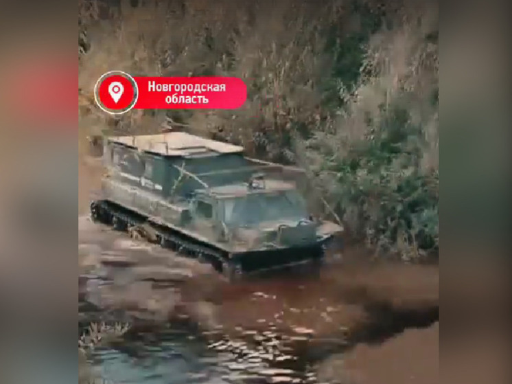 Новгородские электромонтеры вернули свет в деревню, где живет один человек