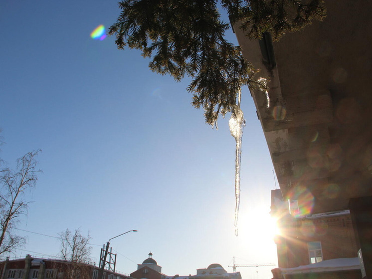 Рабочая неделя в Алтайском крае начнется с потепления до +5 градусов