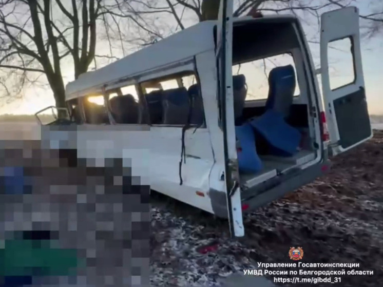 В Белгородской области два человека погибли в ДТП с автобусом и грузовиком