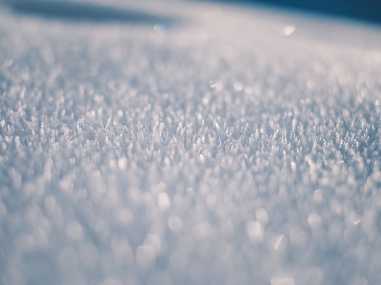 Потепление до +13° ожидается в Воронеже после снегопада